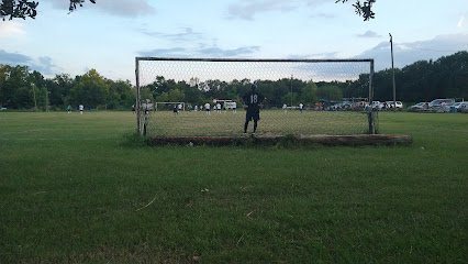 Soccer Field image 1