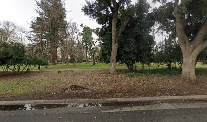 Soccer Field image 1