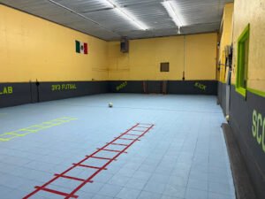 Soccer Field image 1