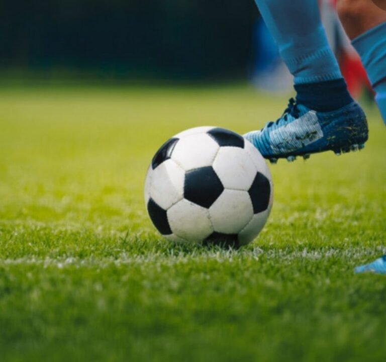 Soccer Field image 2