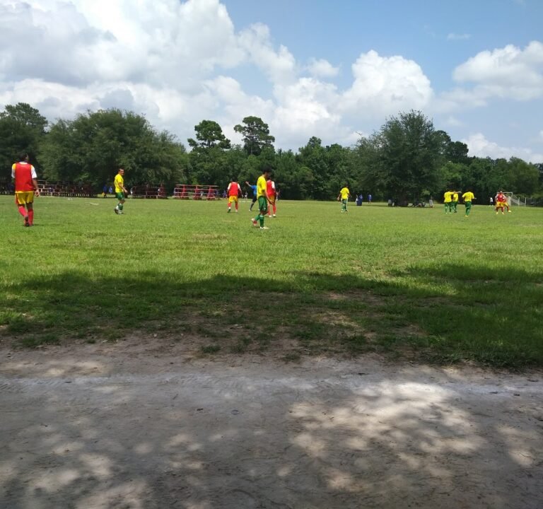 Soccer Field image 3