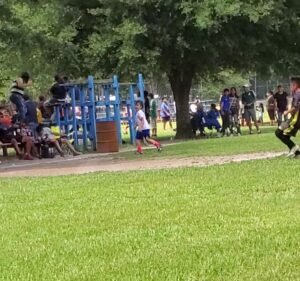 Soccer Field image 4
