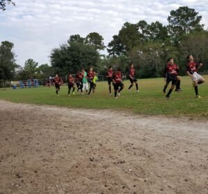 Soccer Field image 2