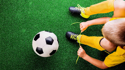 Soccer Field image 1