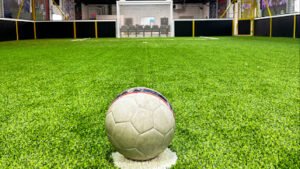 Soccer Field image 1