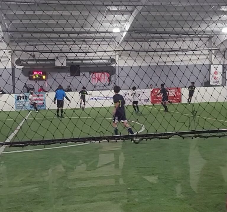 Soccer Field image 3