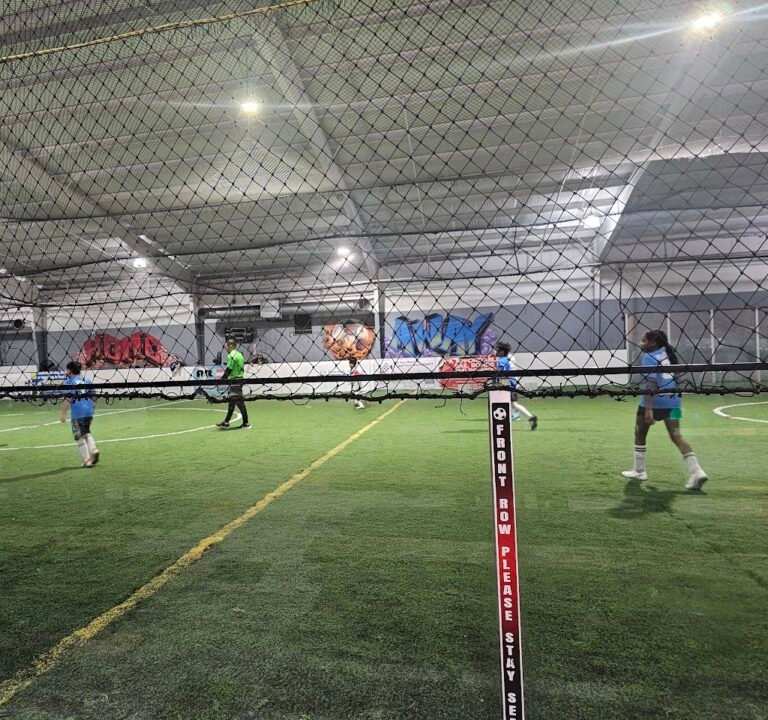 Soccer Field image 2