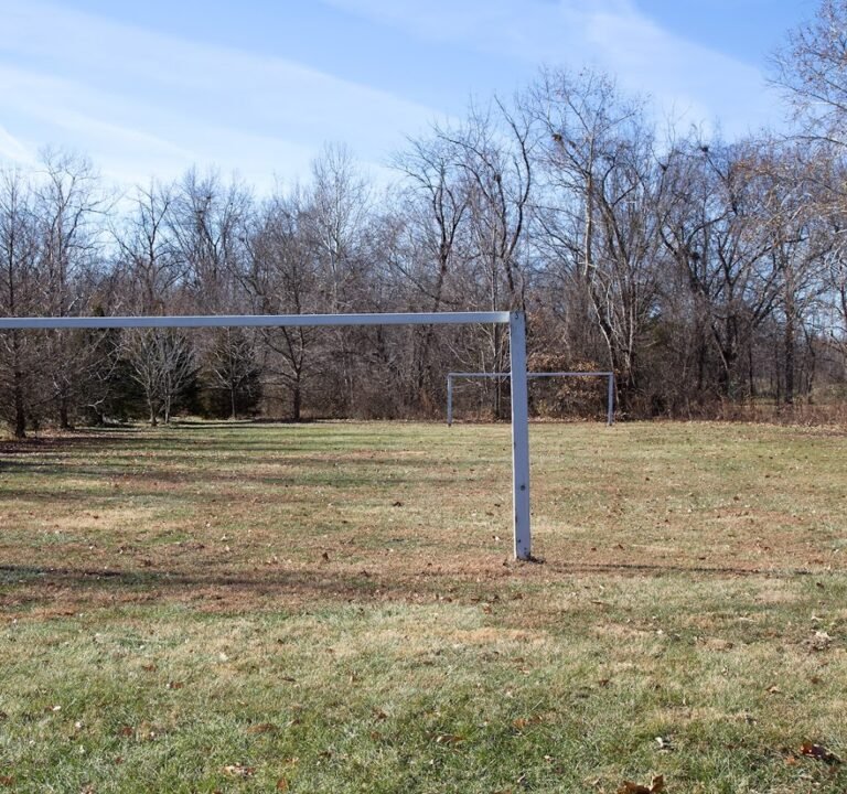 Soccer Field image 2