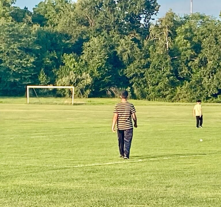 Soccer Field image 2