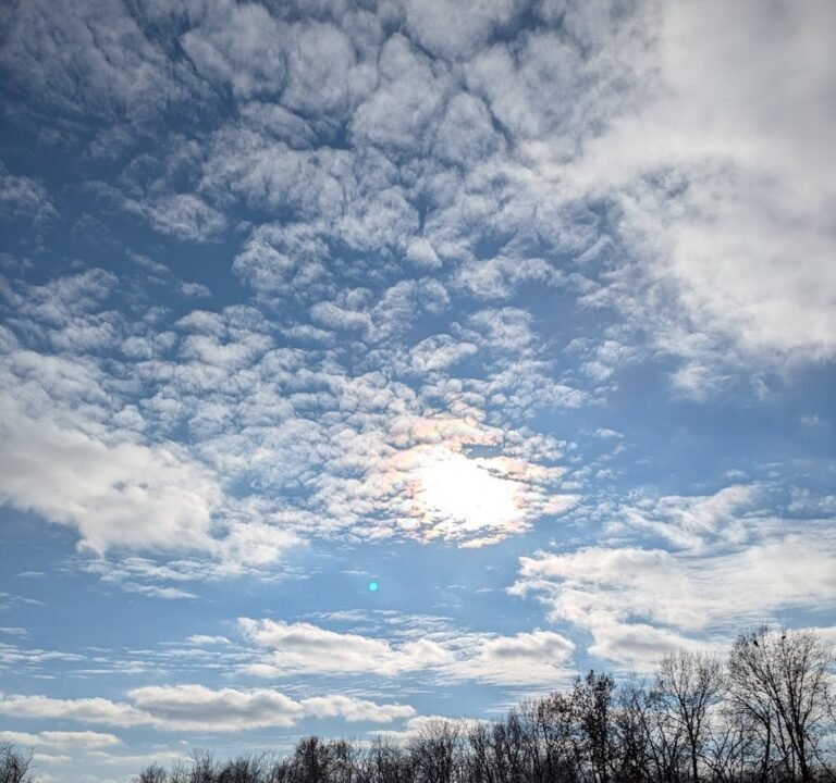 Soccer Field image 2