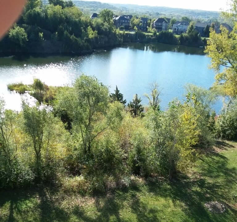 Soccer Field image 2