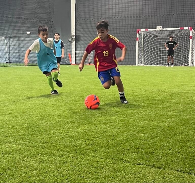 Soccer Field image 4