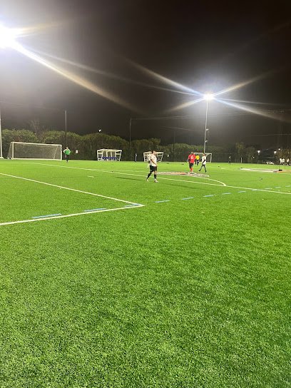 Soccer Field image 1