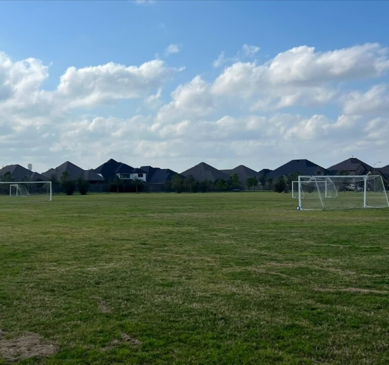 Soccer Field image 2