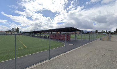 Soccer Field image 1