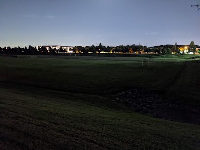 Soccer Field image 1