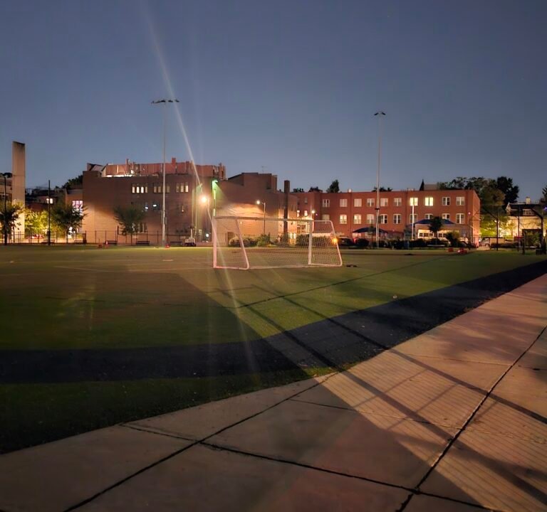 Soccer Field image 2