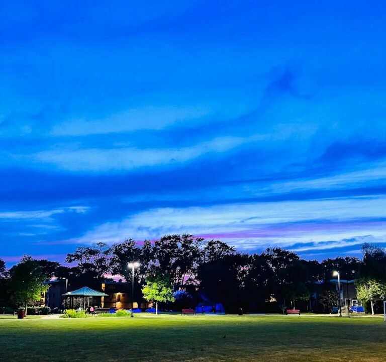 Soccer Field image 2