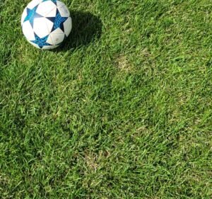 Soccer Field image 3