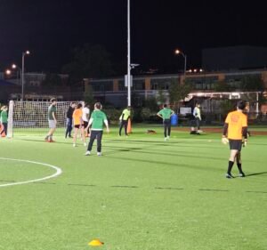 Soccer Field image 3