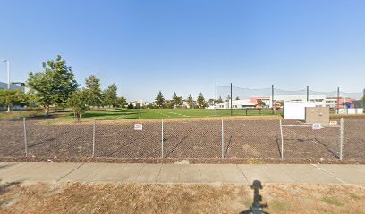 Soccer Field image 1