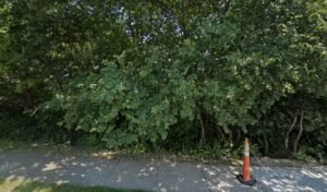 Soccer Field image 1