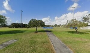Soccer Field image 1