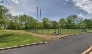 Soccer Field image 1