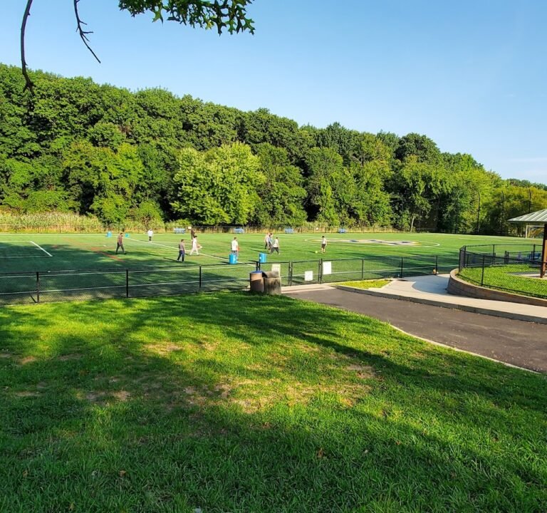 Soccer Field image 2