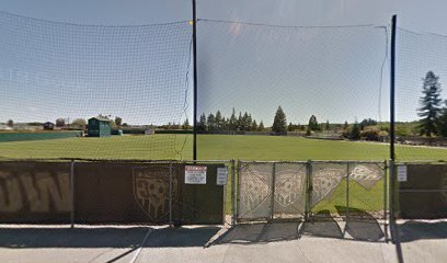 Soccer Field image 1