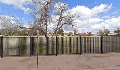 Soccer Field image 1