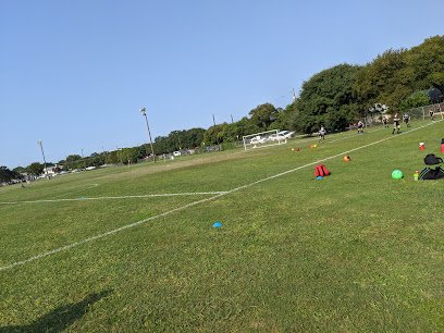 Soccer Field image 1