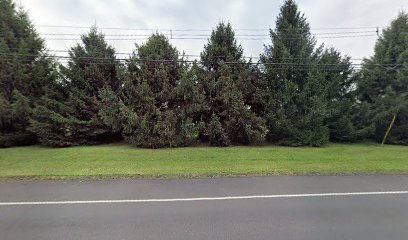 Soccer Field image 1