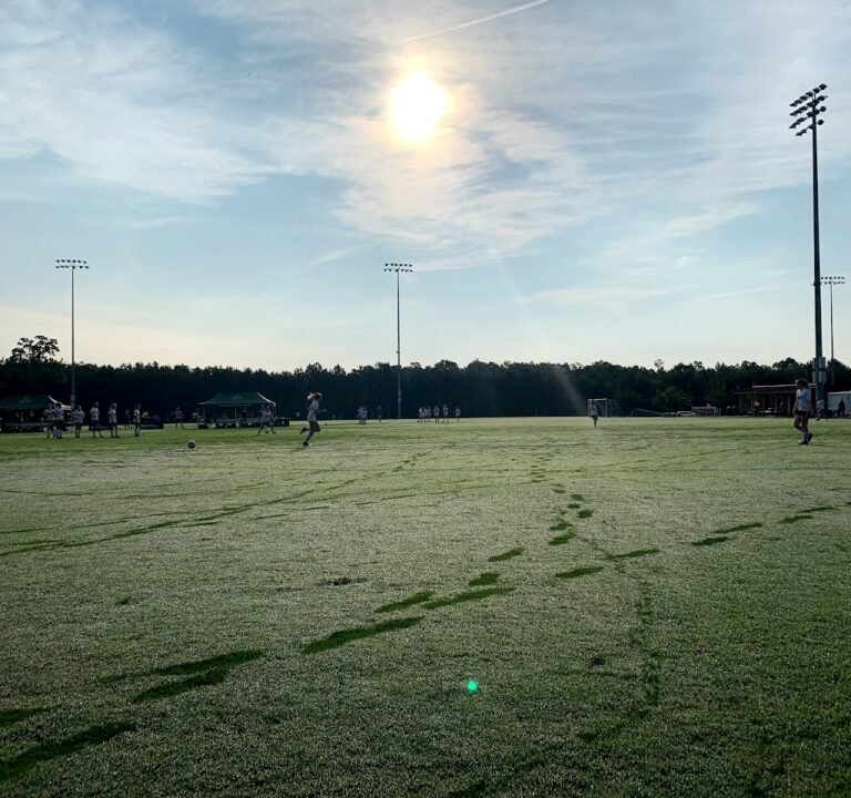 Soccer Field image 3