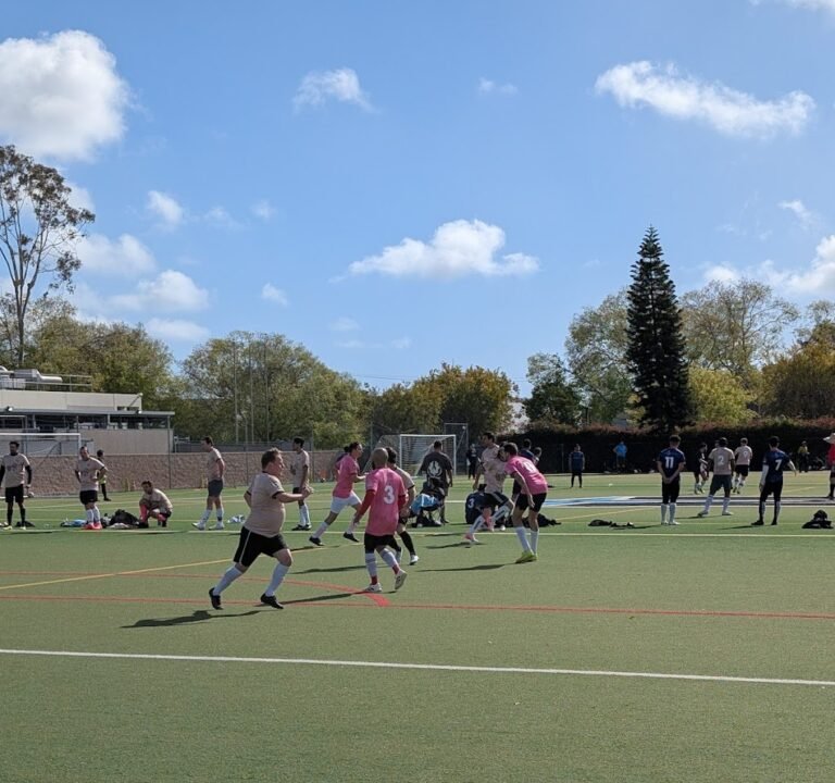 Soccer Field image 2