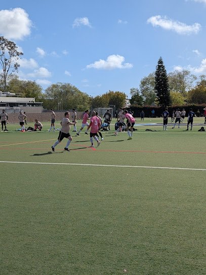 Soccer Field image 1