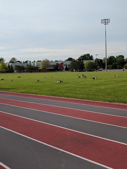 Soccer Field image 1