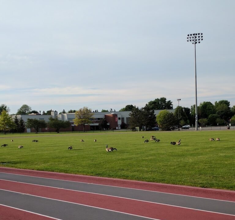 Soccer Field image 2