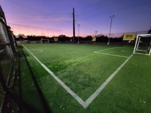 Soccer Field image 1