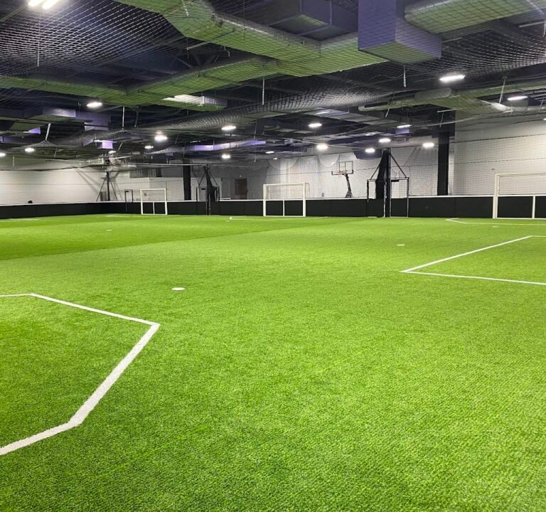 Soccer Field image 2