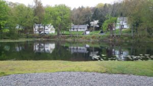 Soccer Field image 1