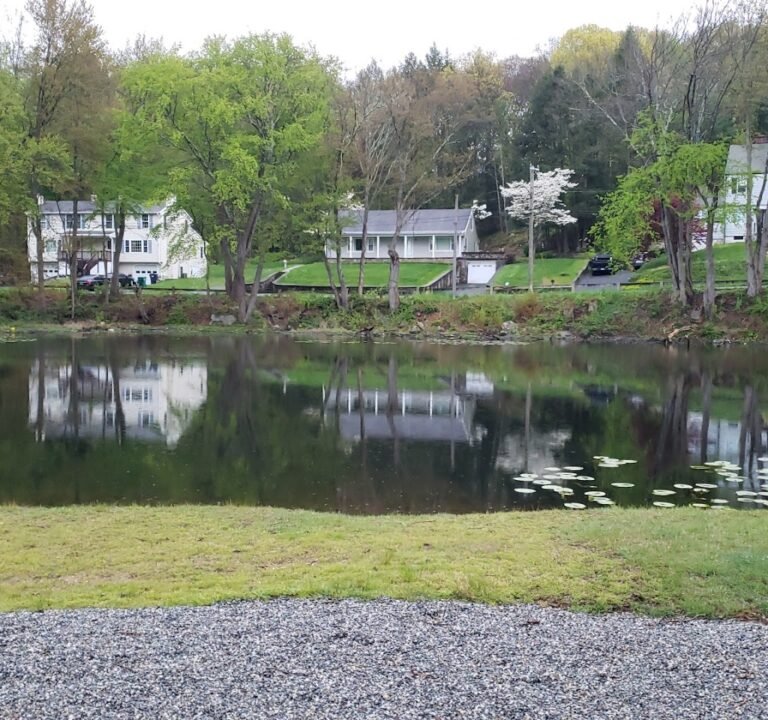 Soccer Field image 2