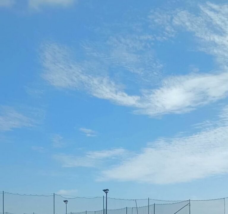 Soccer Field image 4