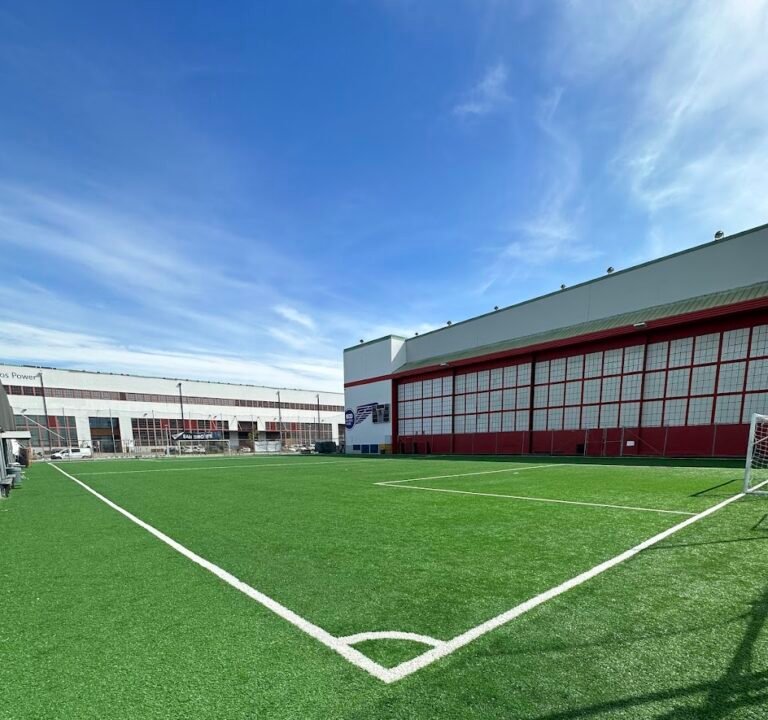 Soccer Field image 2