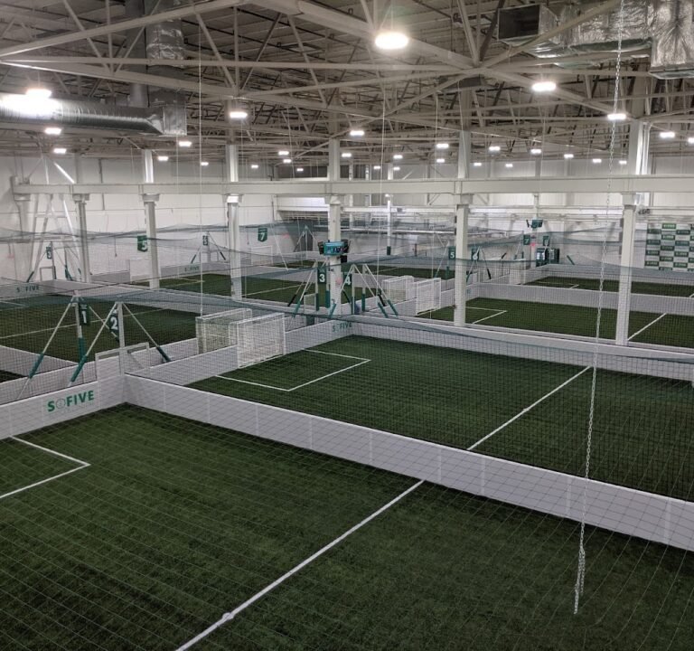 Soccer Field image 2