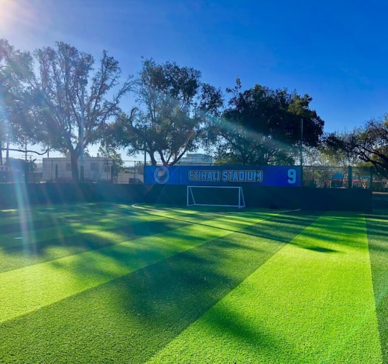 Soccer Field image 2