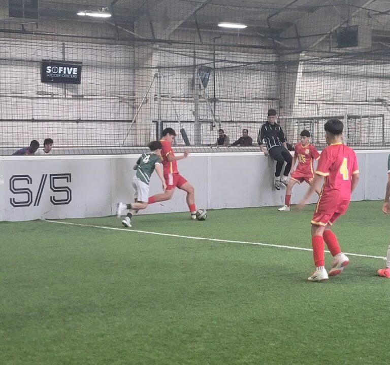 Soccer Field image 3