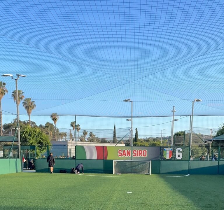 Soccer Field image 2