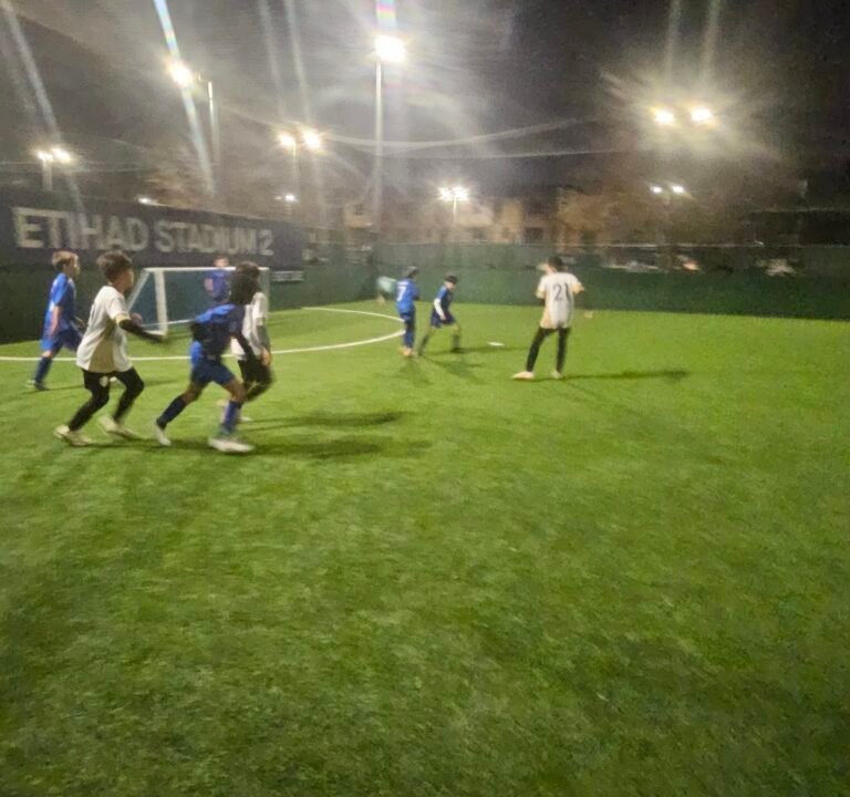 Soccer Field image 3