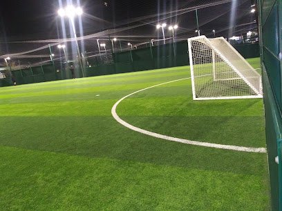 Soccer Field image 1